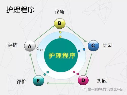 各類評估及執(zhí)行單的填寫規(guī)范與重要性